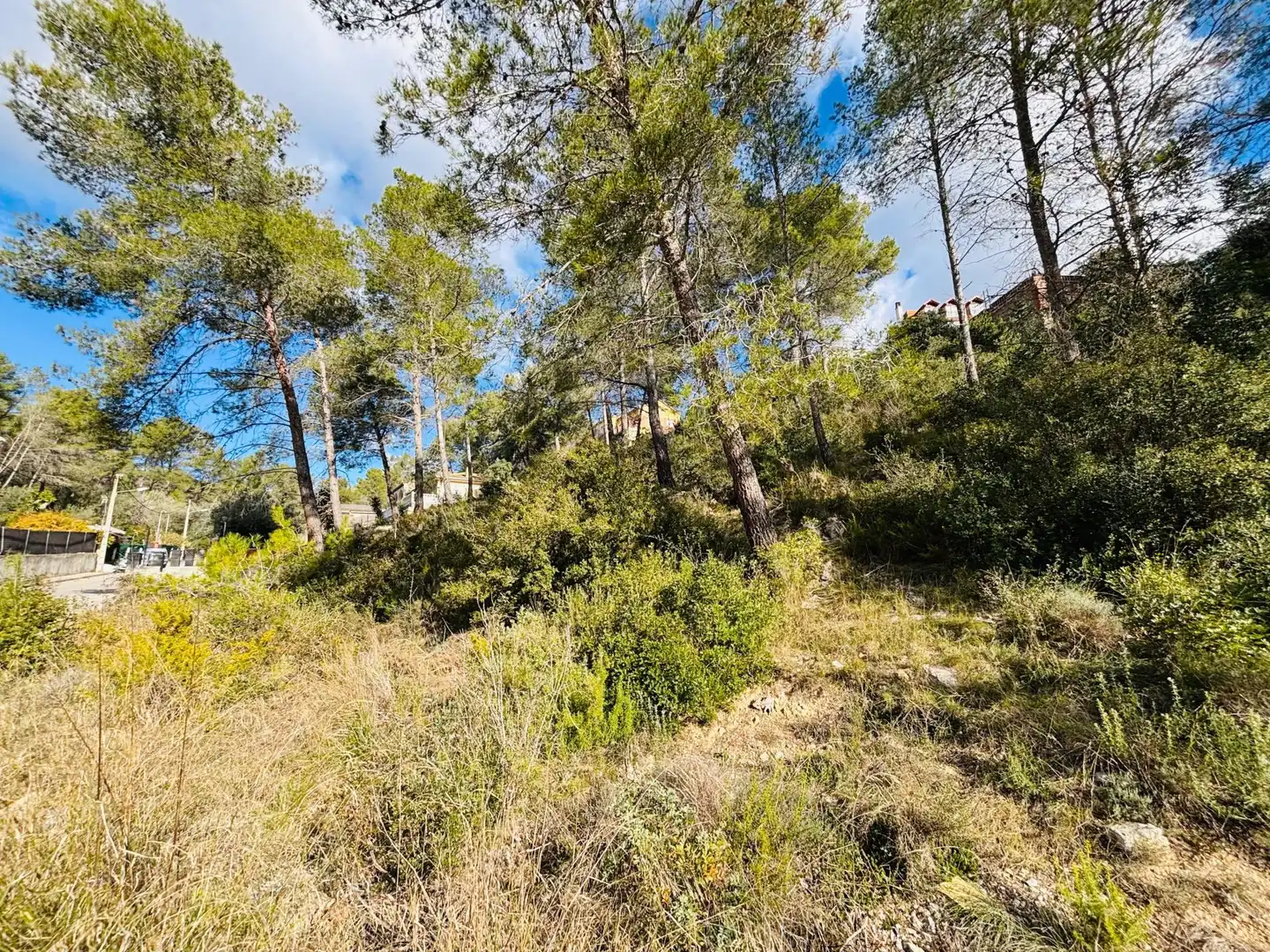 Grundstücke und Bauplätze zum Verkauf in Olivella, imagen 17