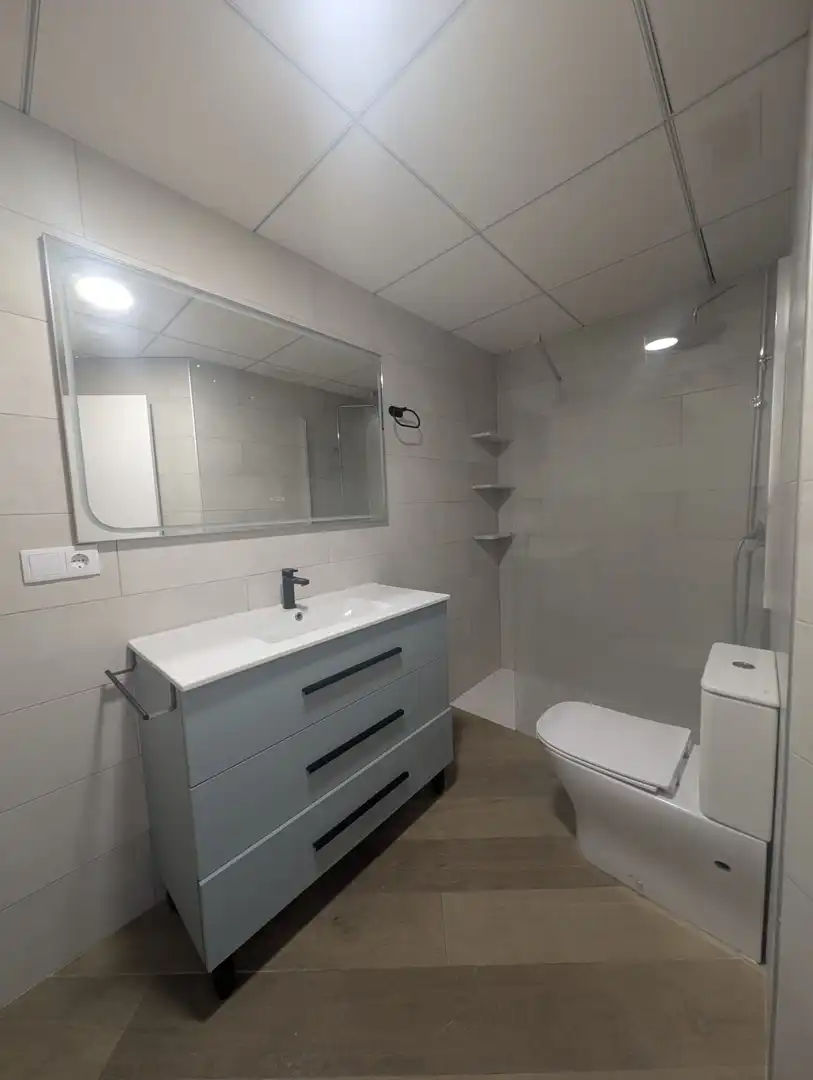 Bathroom of Flat for rent in Los Montesinos  with Terrace and Furnished