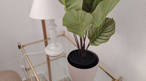 Foto 4 de Apartamento de alquiler en Calle Octavio Augusto, 56, Centro, Mérida