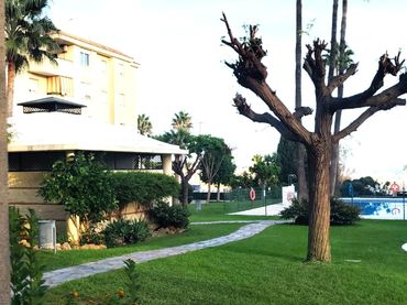 Apartamento con piscina en venta en El Pinillo