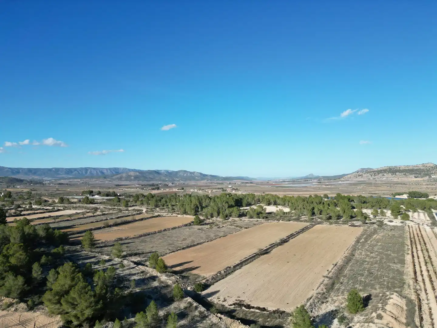 Terreny residencial en venda a Monóvar  / Monòver, imagen 11