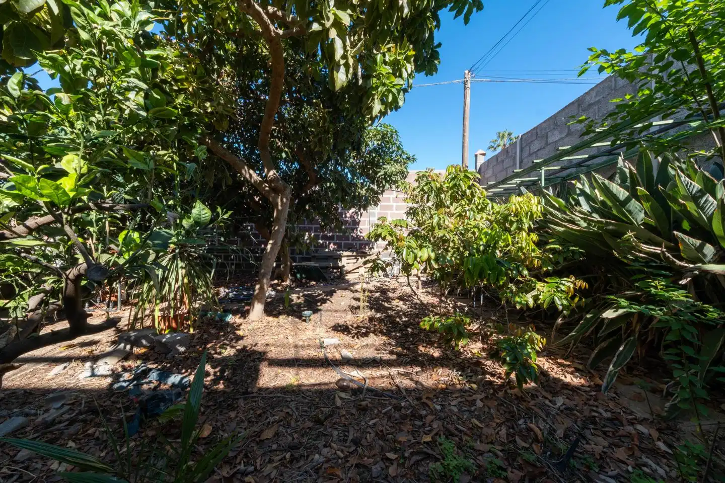 Exterior view of Country homes for sale in Gáldar