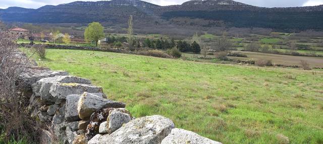 Terreno residencial en Venta en Calle la Solana Herreros, 20 en Cidones