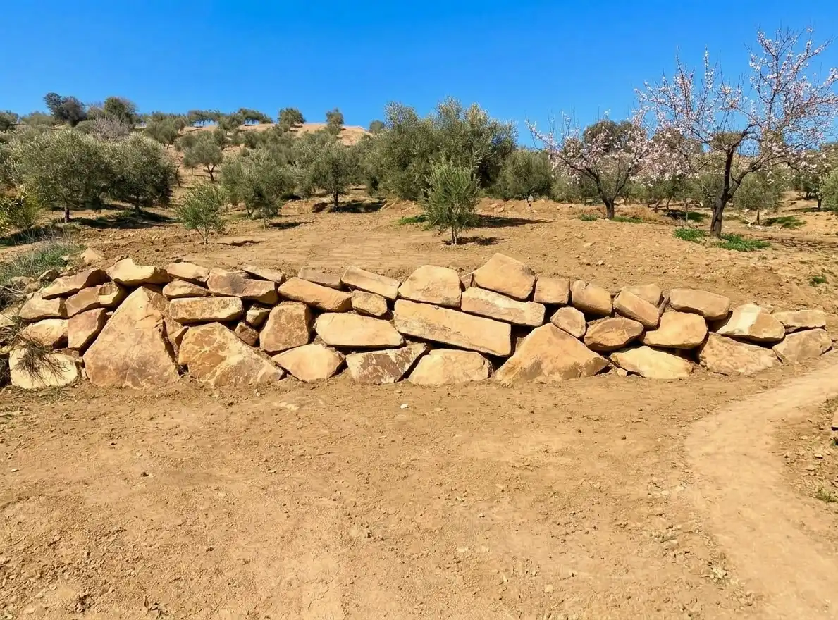 Terreno rustico in vendita a N/A, imagen 4