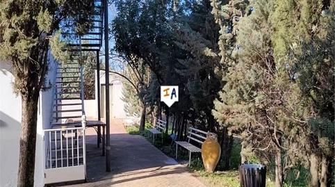 Foto 4 de Finca rústica en venta en Osuna, Sevilla