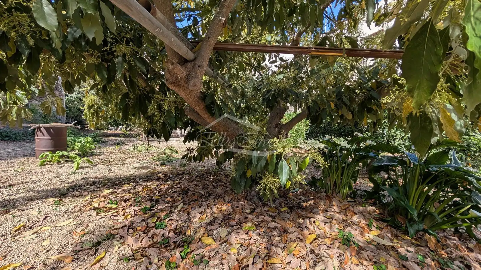 Casa adosada en venta en San Miguel de Abona con Jardín privado, Trastero y Amueblado