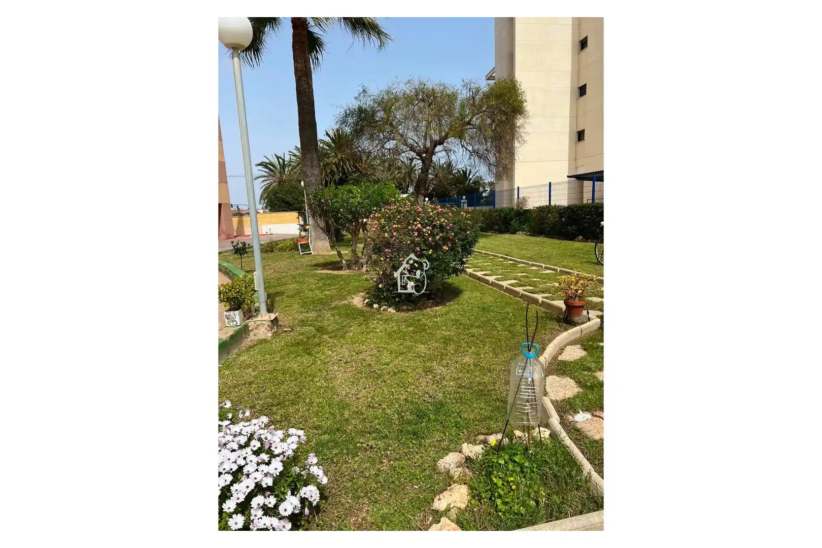 Apartments for rent in Torrevieja  with Furnished, Oven and Washing machine