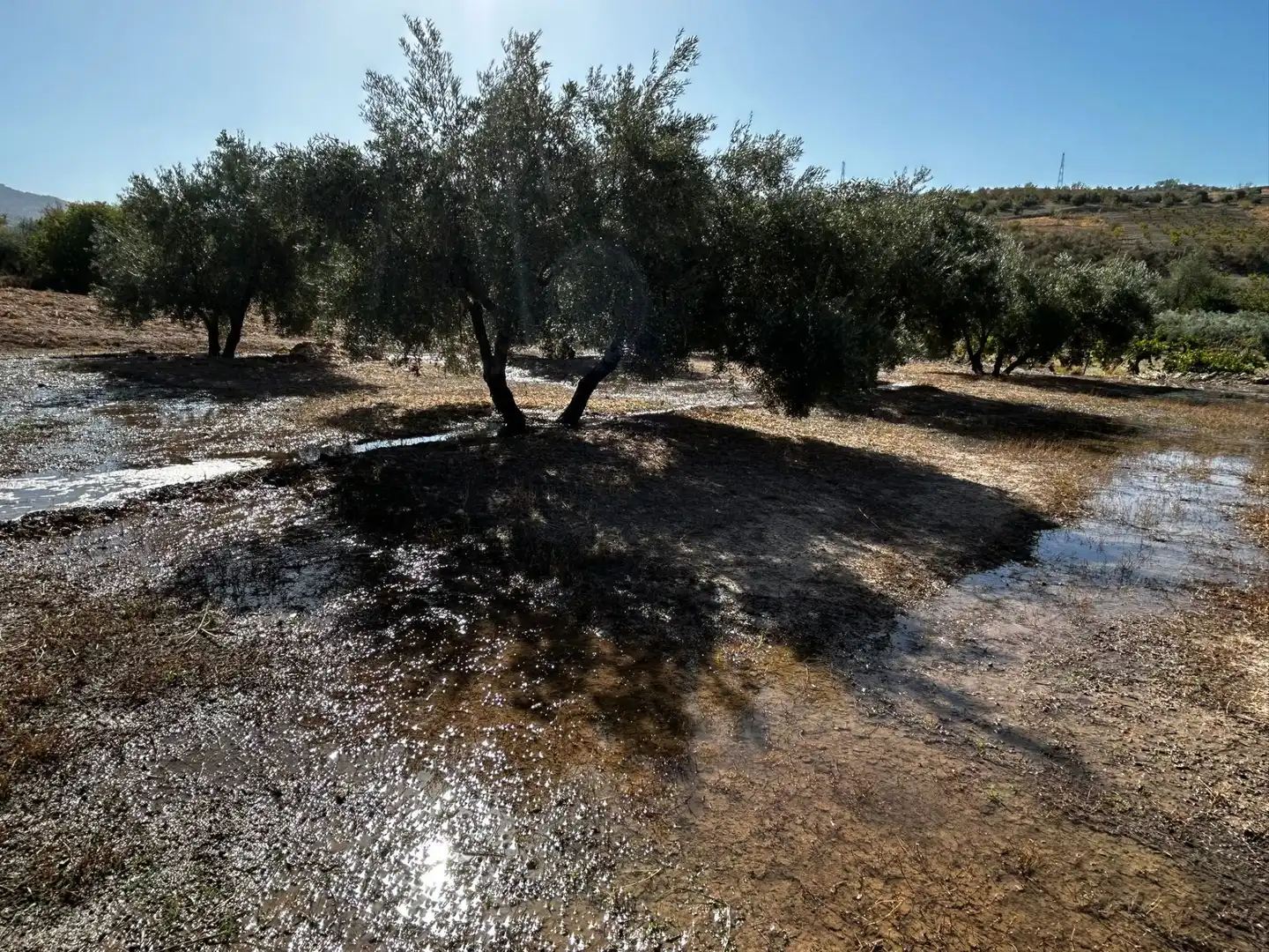 Terreni e lotti in vendita a Calicasas, imagen 16