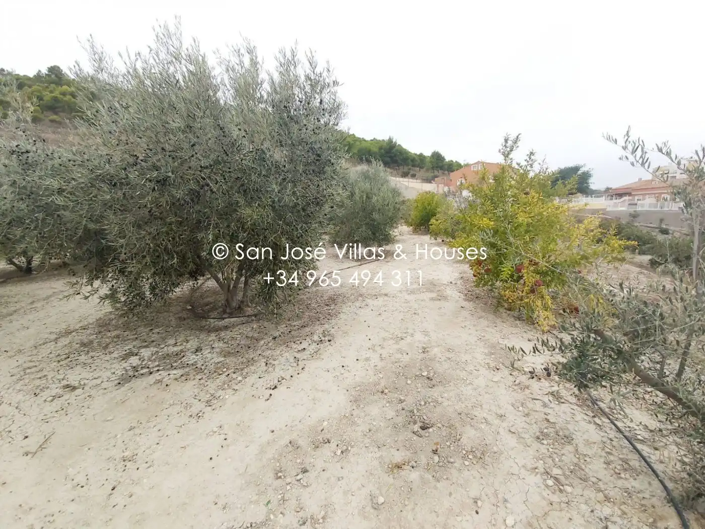 Casa o xalet en venda en Aspe amb Calefacció i Jardí privat
