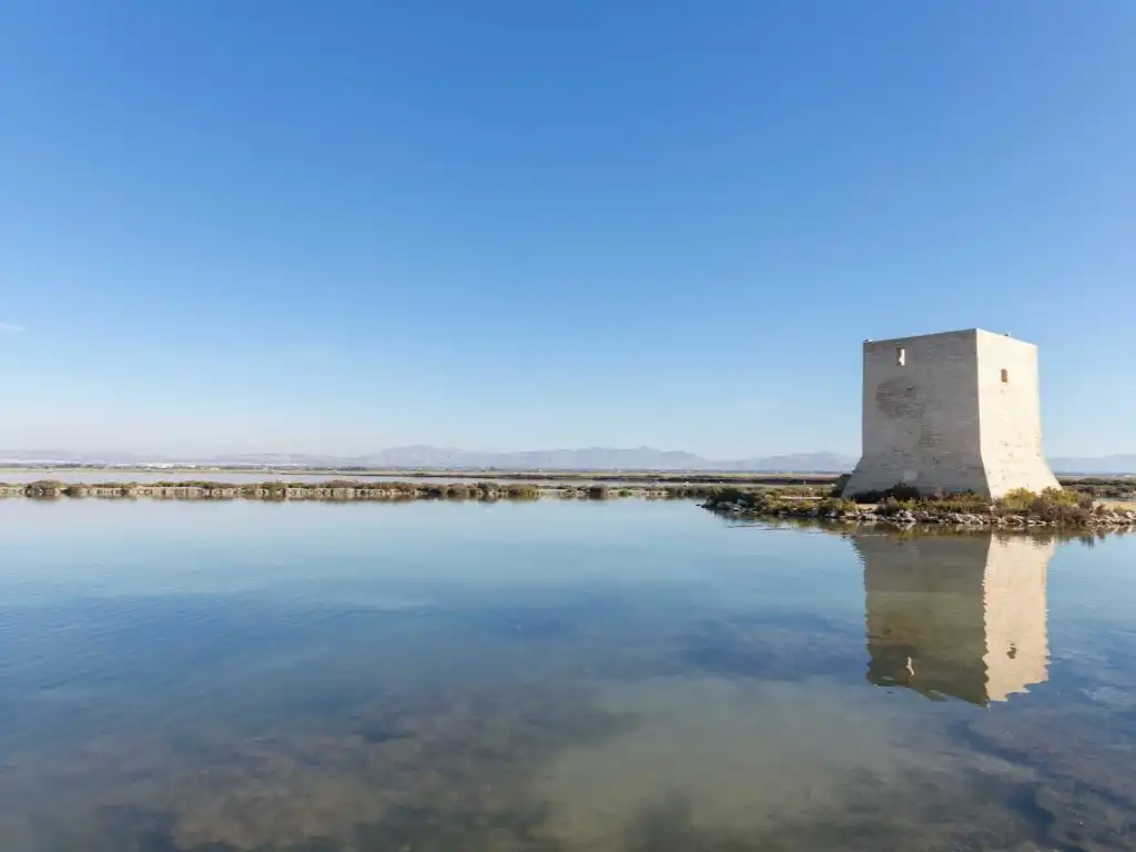 Ático con piscina en venta en Santa Pola ciudad, imagen 12
