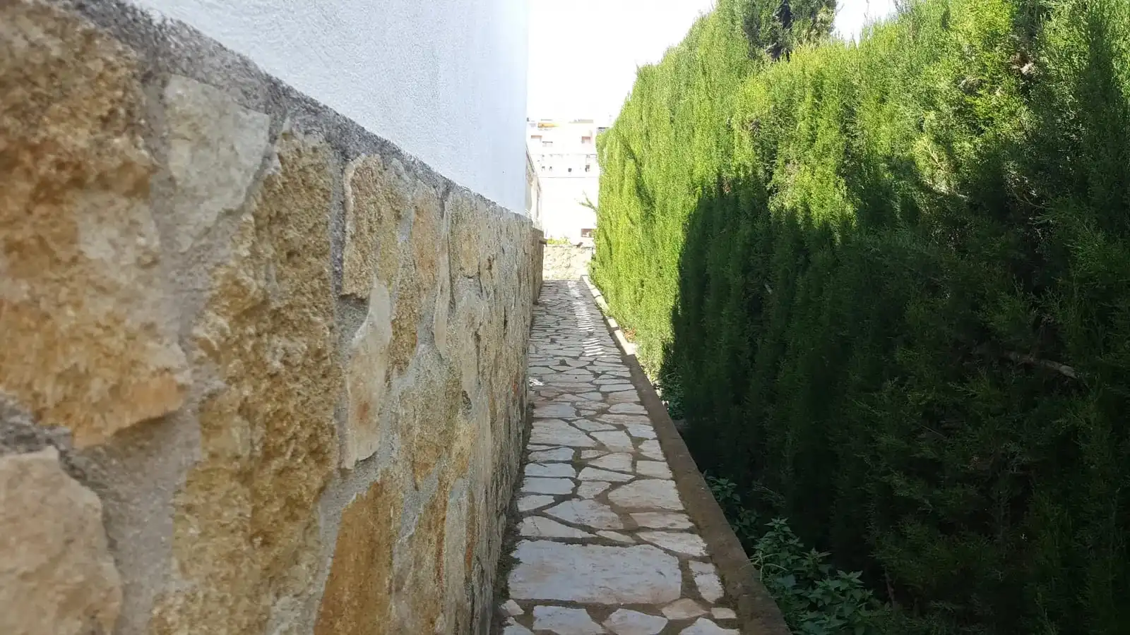 Villa con terrazza in vendita a Pego, imagen 7