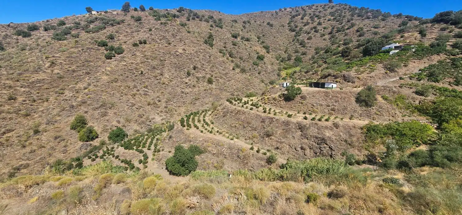 Casa rústica en venta en Vélez-Málaga ciudad, imagen 9