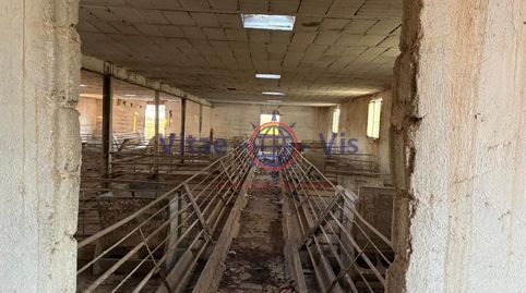 Foto 3 von Fabrikhallen zum Verkauf in Diseminados Campillo (campillo), Campillo, Lorca