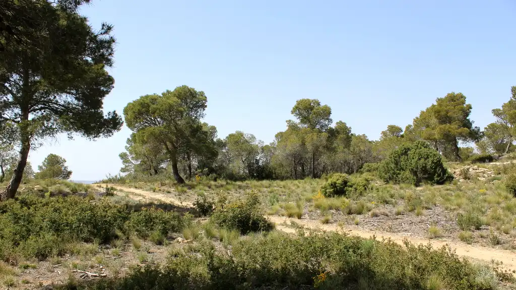 Finca rústica en venda en Maella