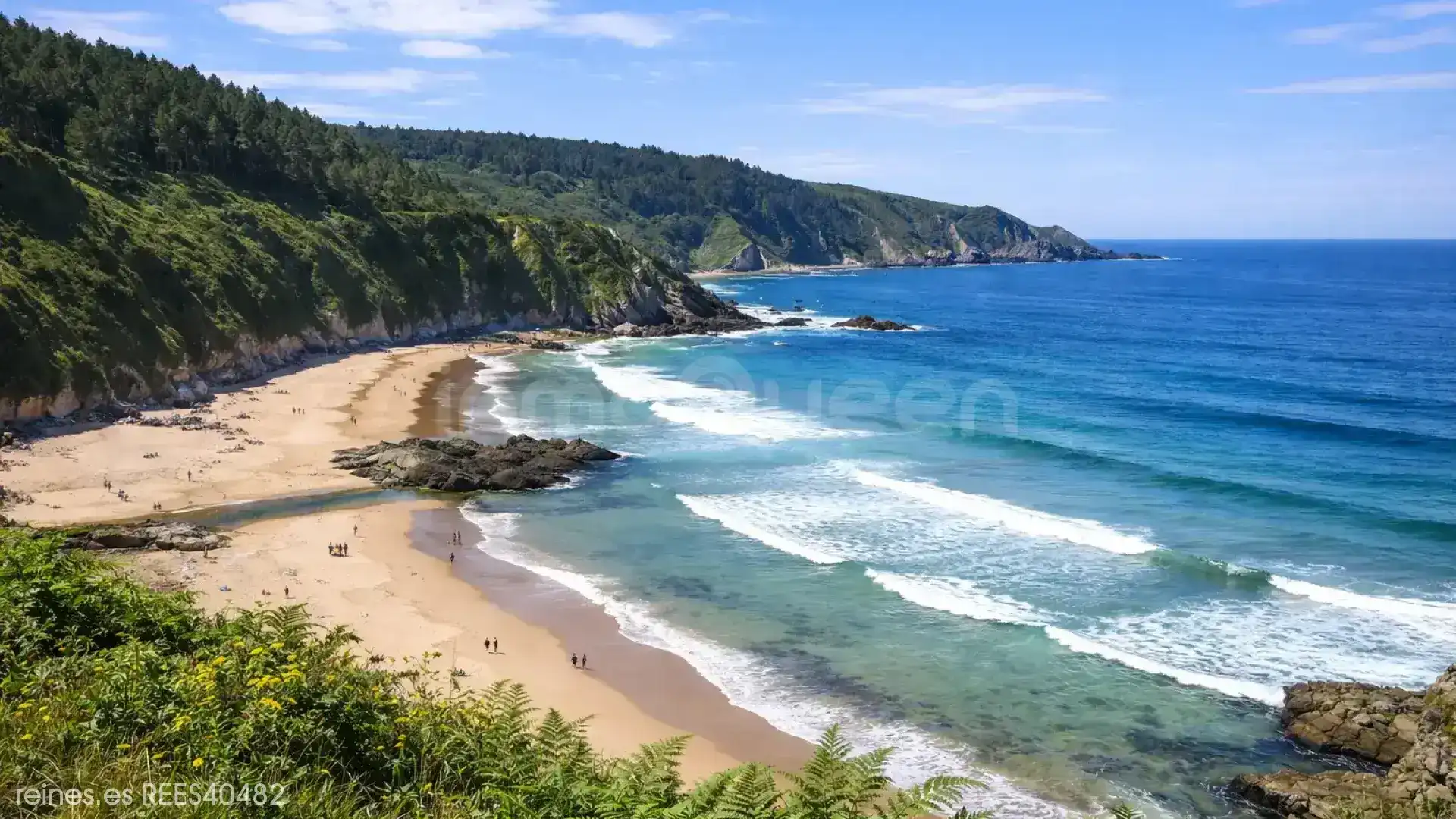 Vista exterior de Casa o chalet en venta en Coaña con Jardín privado