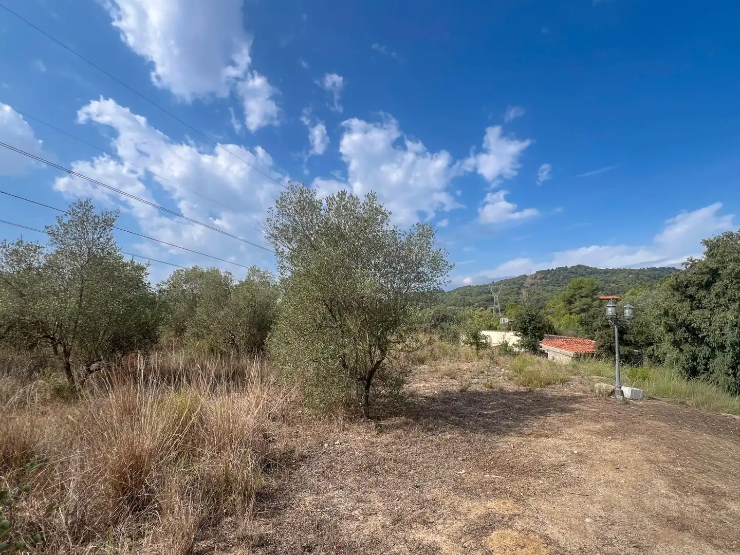 Finca rústica en venda en Les Borges del Camp amb Jardí privat, Traster i Piscina