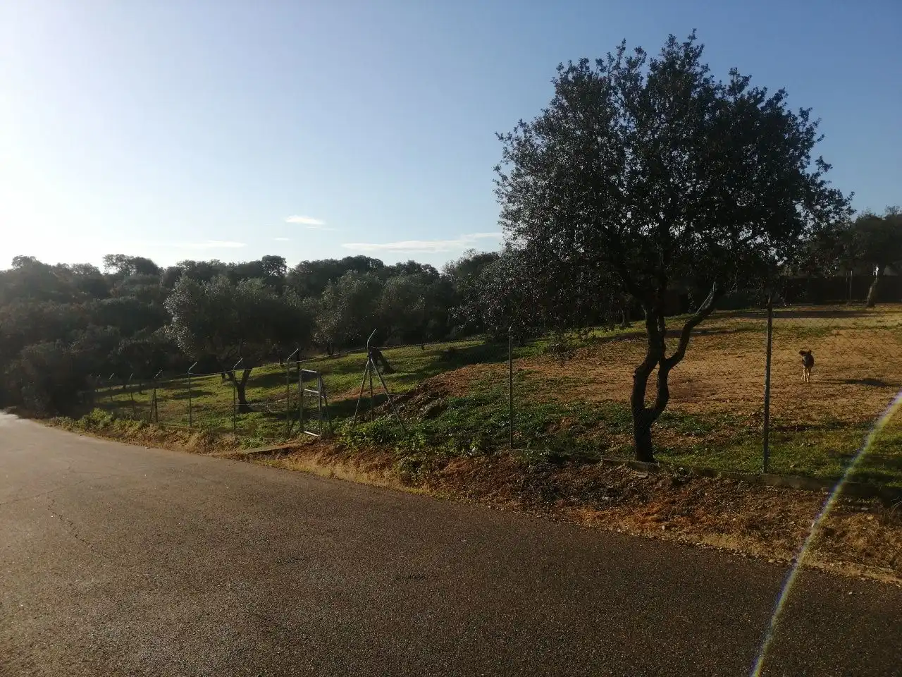 Terreny rústic en venda a Dehesilla de Calamón - Campomanes, imagen 3