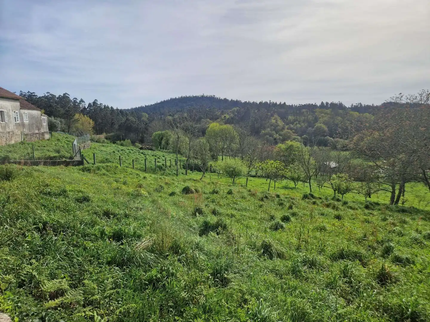 Grundstücke und Bauplätze zum Verkauf in Área de Ames, imagen 3