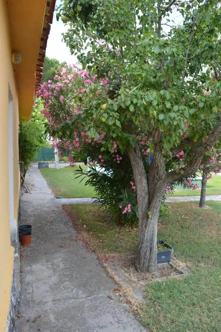 Vista exterior de Casa o chalet en venta en Santibáñez de Valcorba con Calefacción, Jardín privado y Terraza