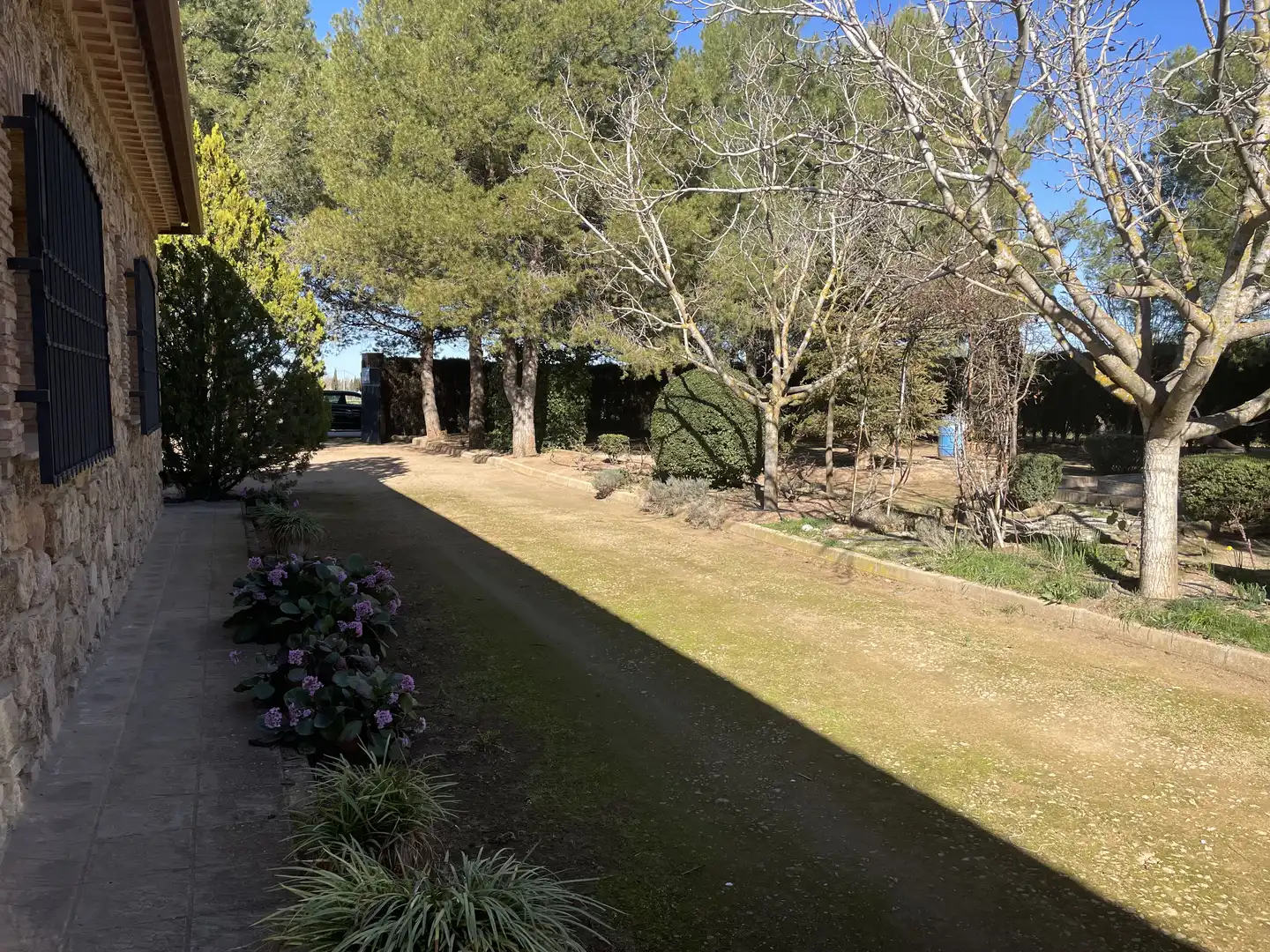 Chalet con jardín en venta en Argamasilla de Alba, imagen 8