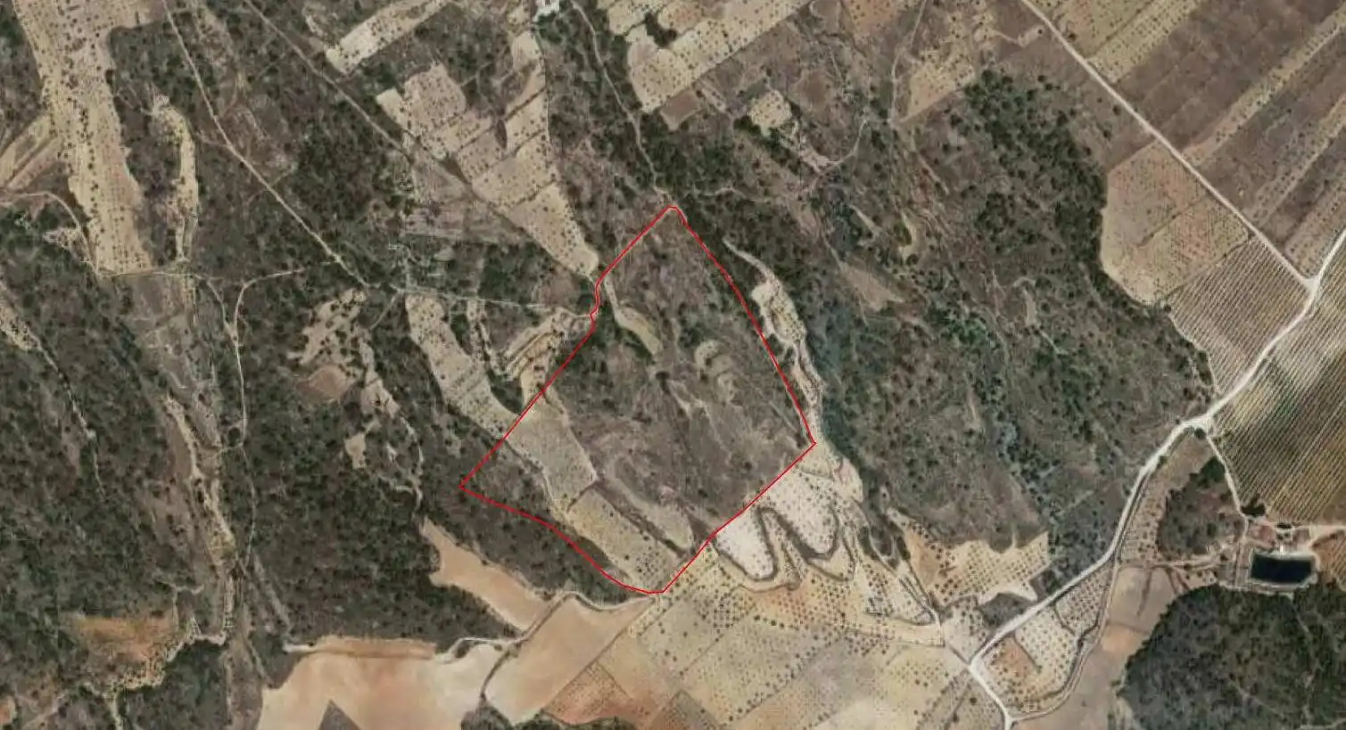 Lands and plots for sale in Abanilla, imagen 16