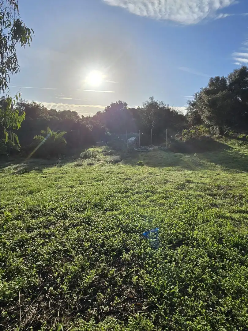 Casa o xalet en venda en Los Barrios