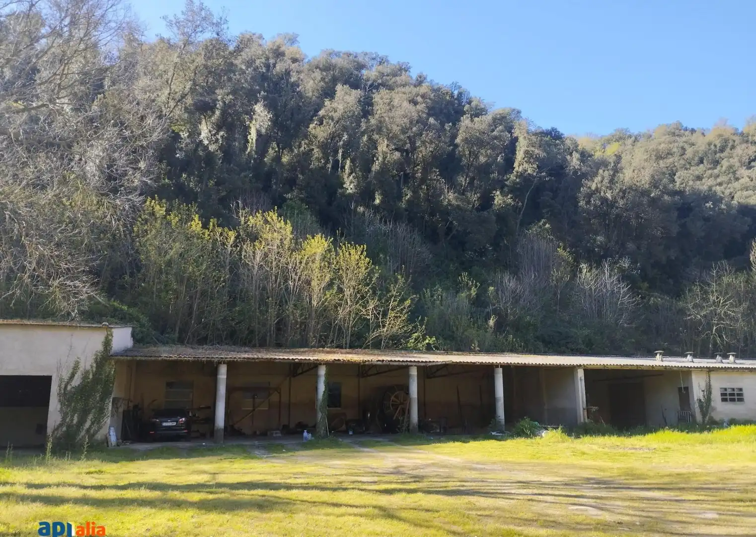 Vista exterior de Finca rústica en venta en Massanes