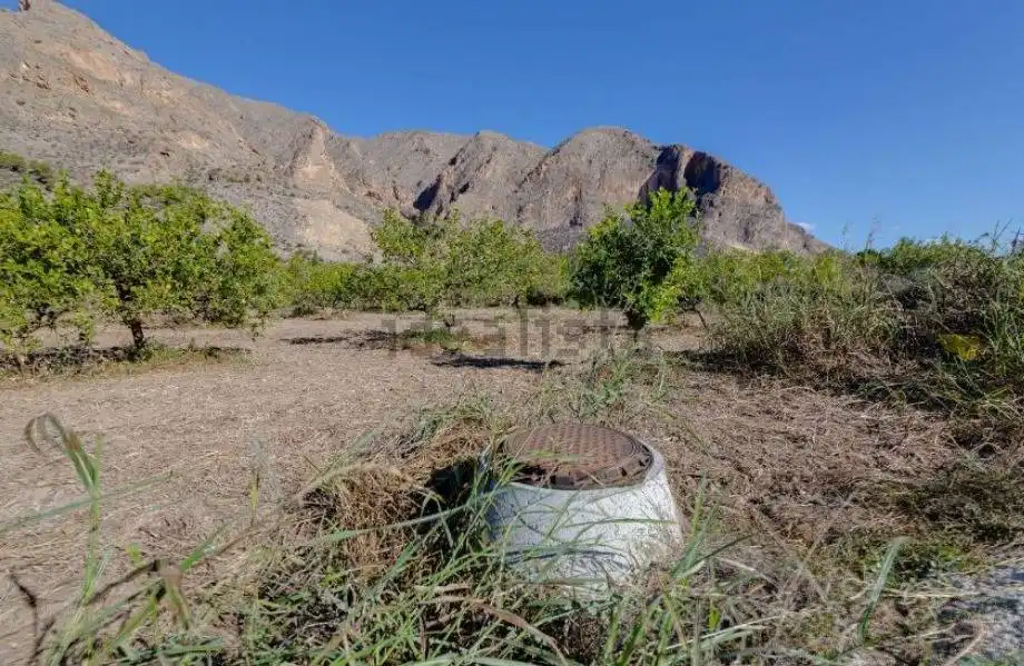 Houses for sale in Barrio Cementerio S F, Callosa de Segura