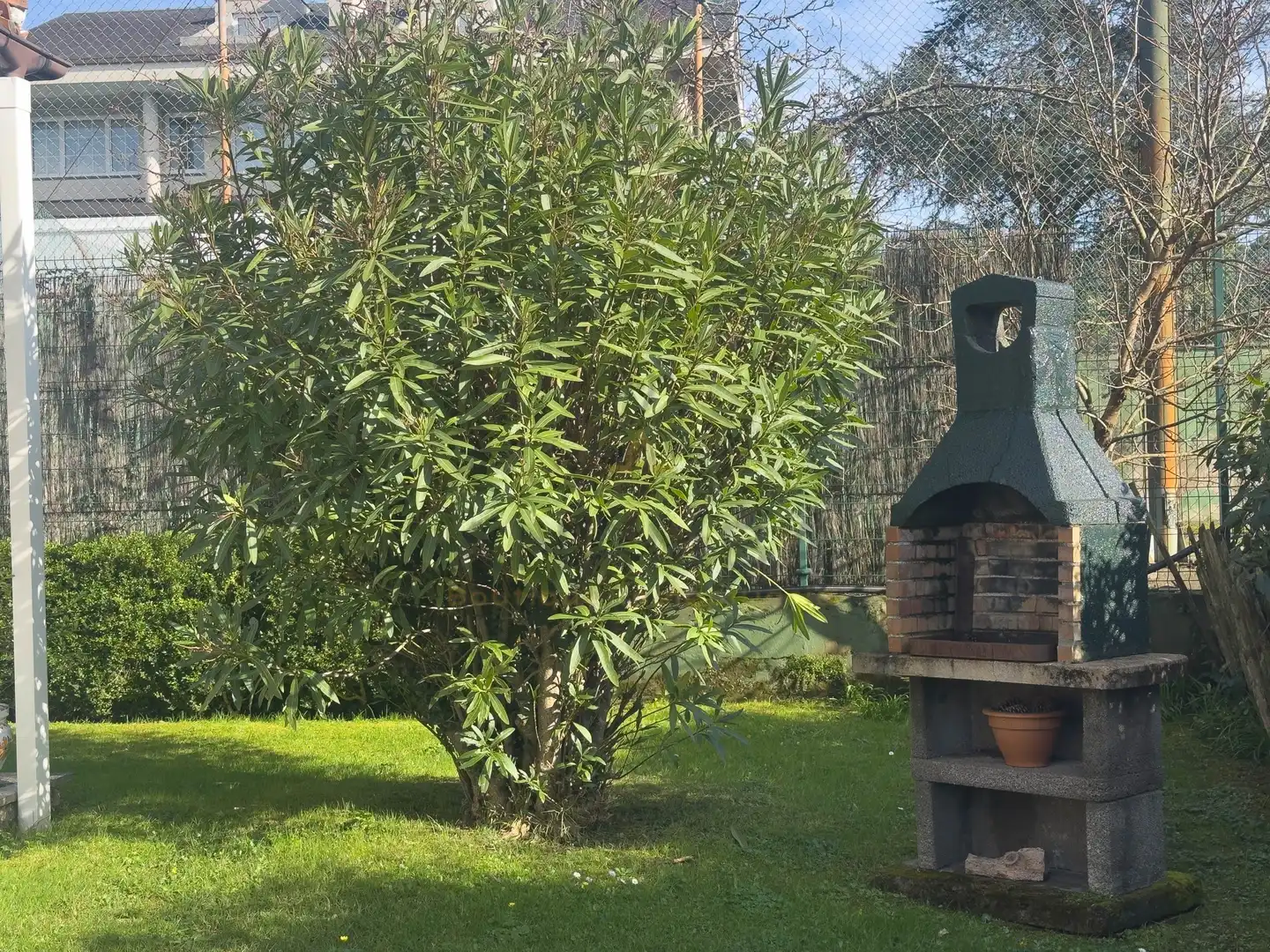 Jardí de Casa o xalet en venda en Gijón  amb Traster i Piscina