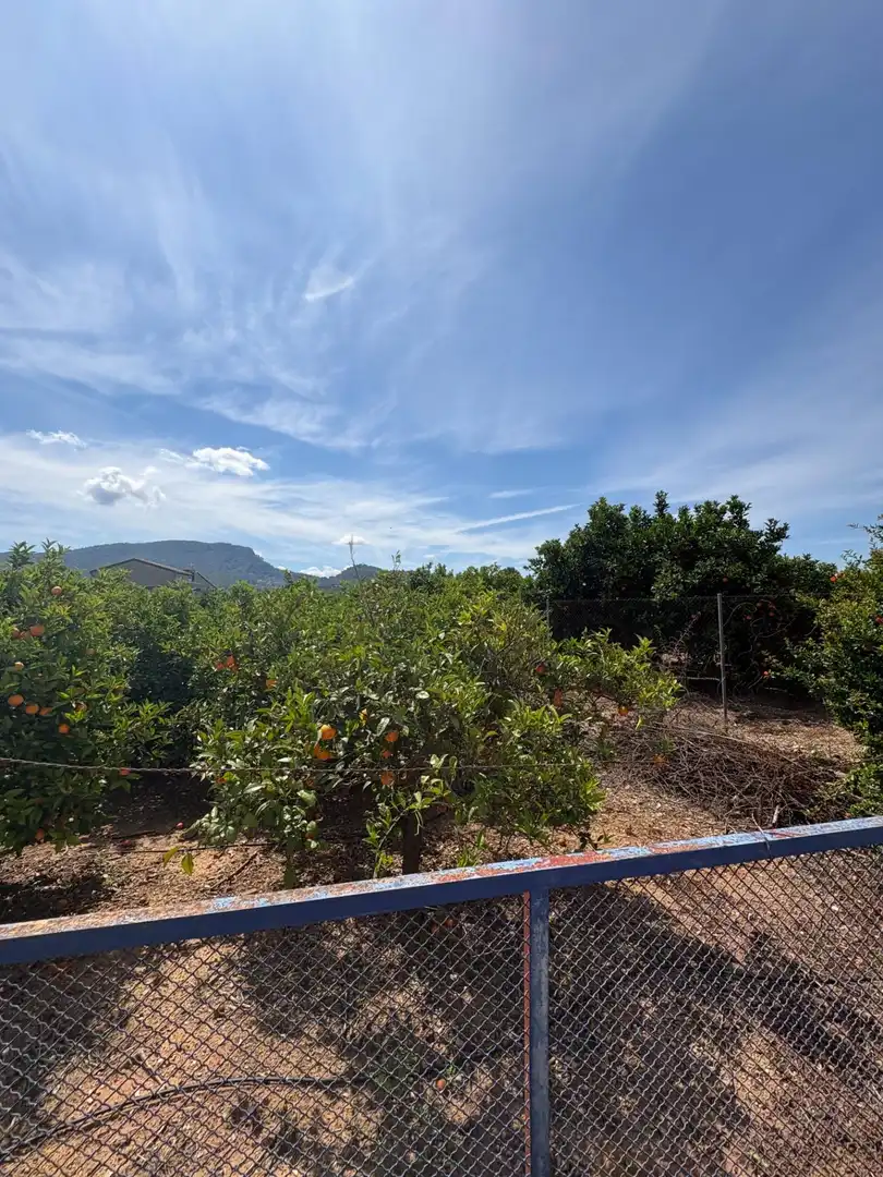 Country homes for sale in Alzira  with Private garden, Terrace and Swimming Pool