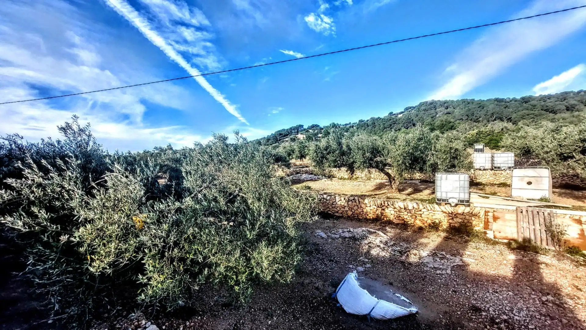 Vista exterior de Finca rústica en venda en L'Ametlla de Mar  amb Jardí privat, Terrassa i Moblat