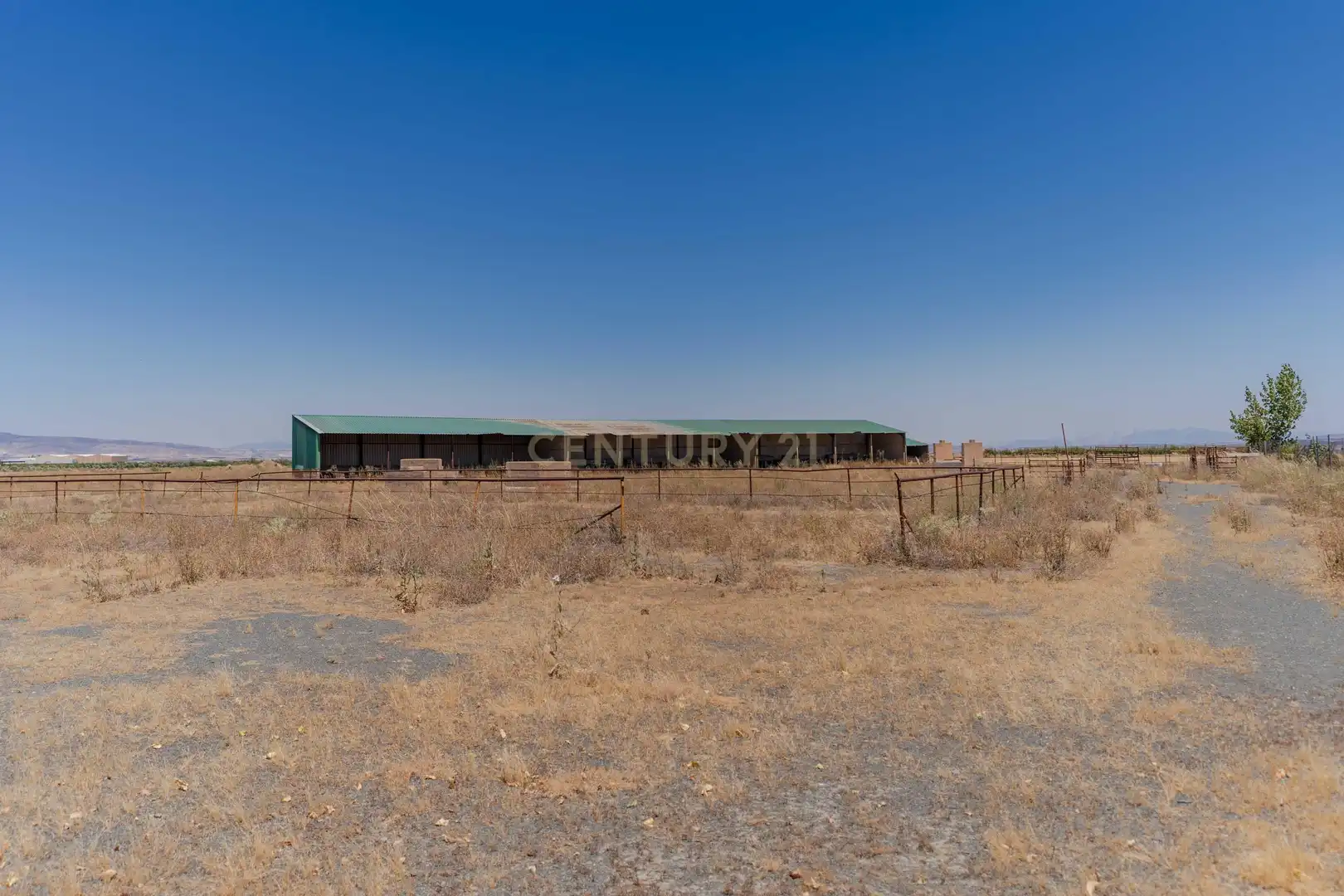 Terreno en venta en Cogollos de Guadix