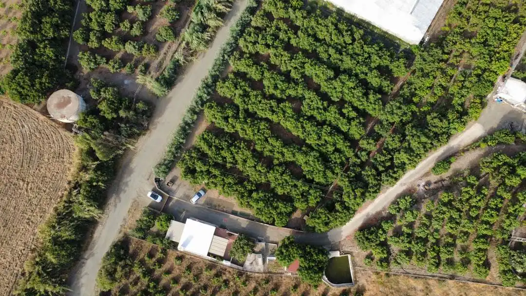 Casa o xalet en venda en Benamocarra amb Jardí privat i Moblat