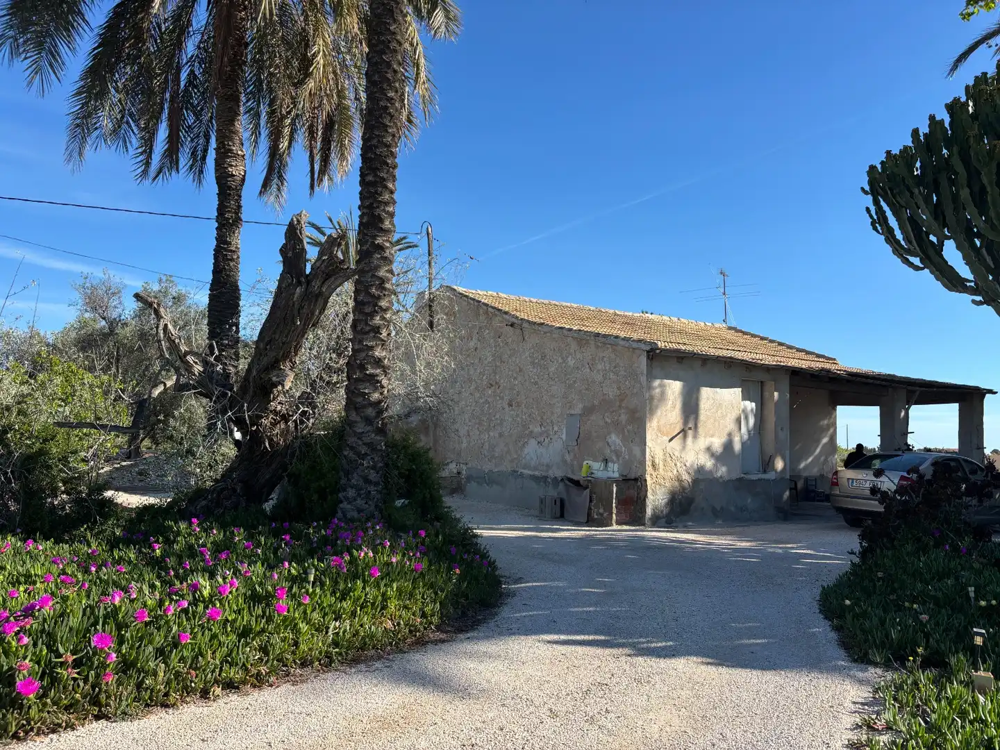Exterior view of Houses for sale in Elche / Elx