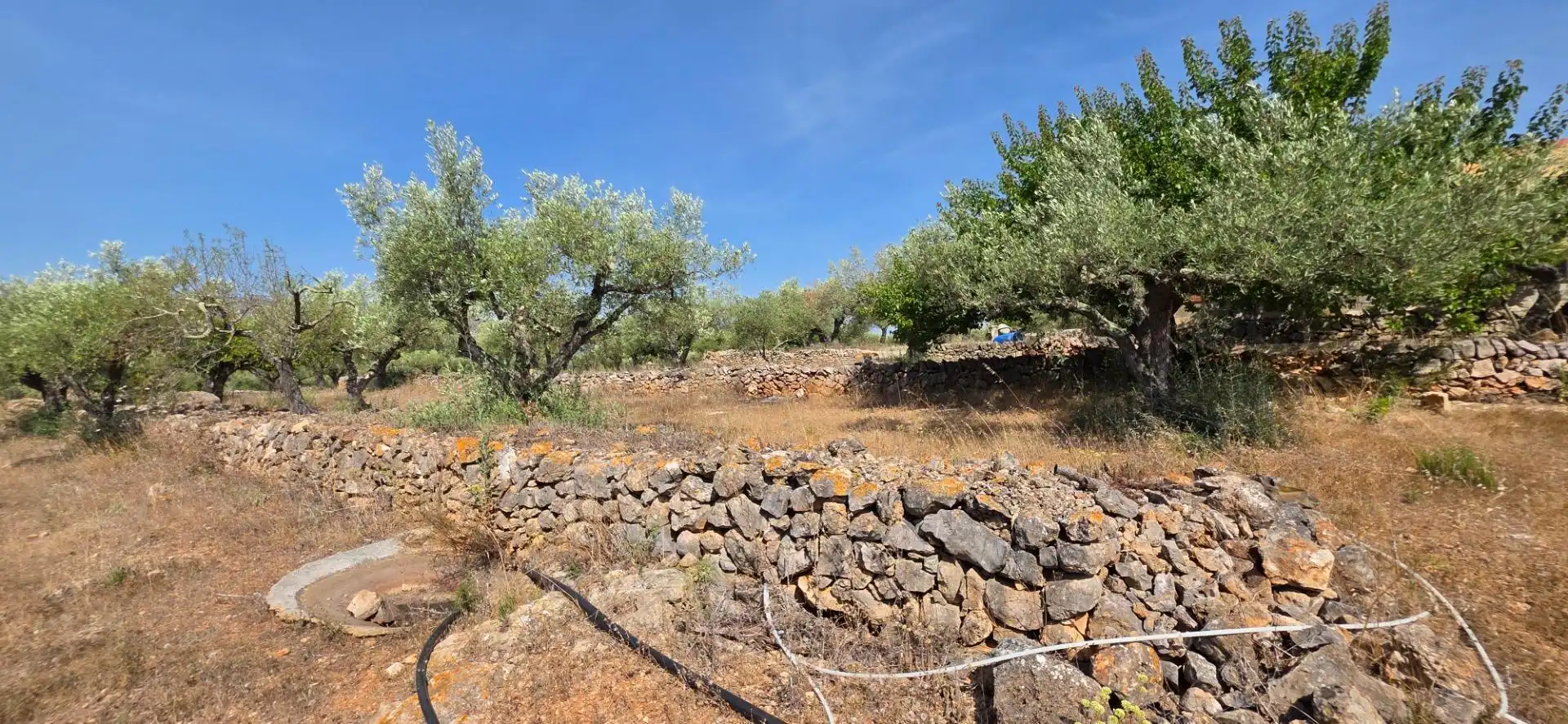 Casa rustica con piscina in vendita a El Perelló, imagen 49