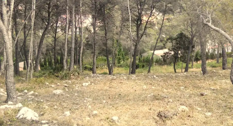 Terreno residencial en venta en Avinguda California, imagen 2