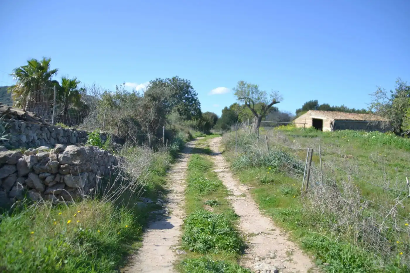 Casa rústica amb jardí en venda a Sant Llorenç des Cardassar, imagen 20