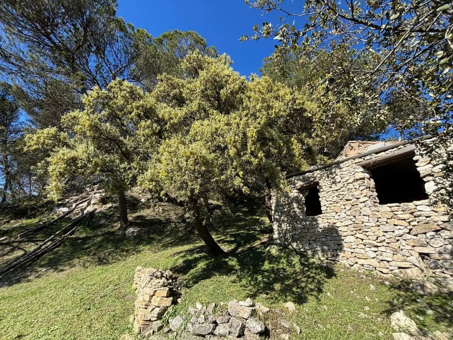 Terrain rustique à vendre à Loja, imagen 5
