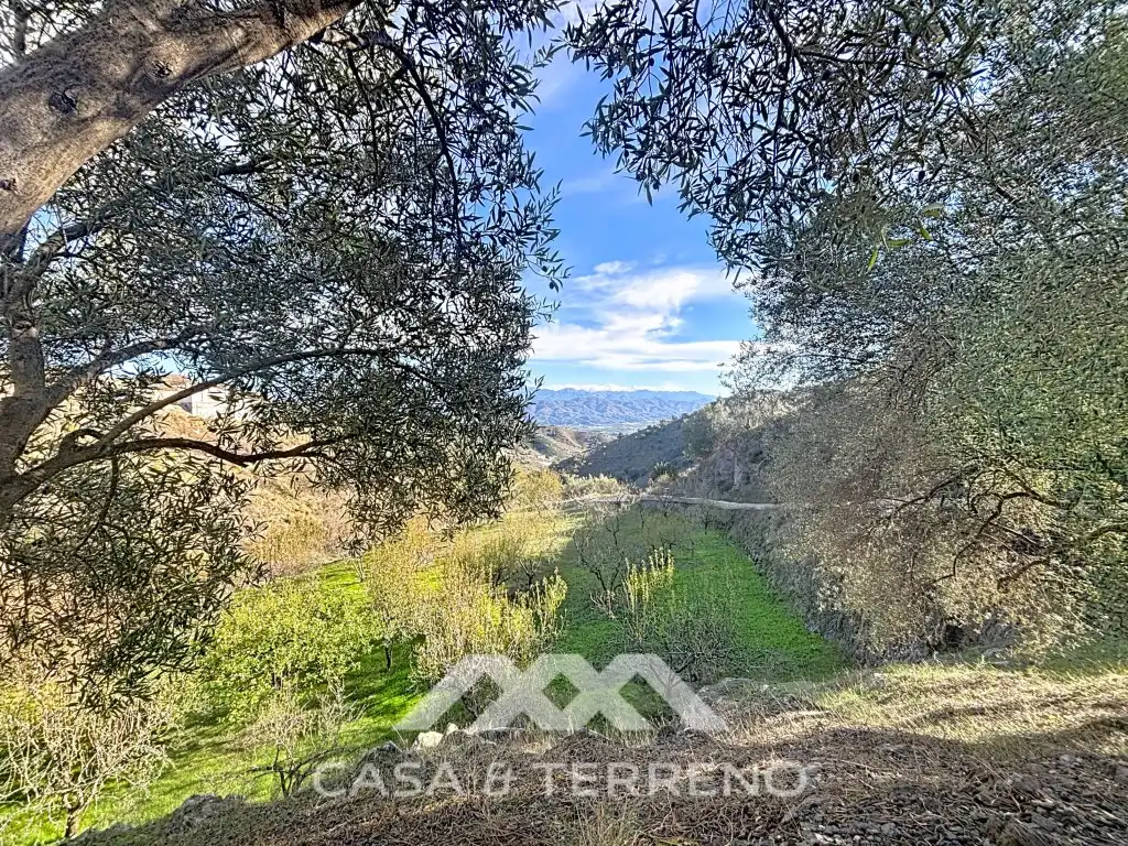 Casa o chalet en venta en Macharaviaya con Aire acondicionado, Jardín privado y Terraza