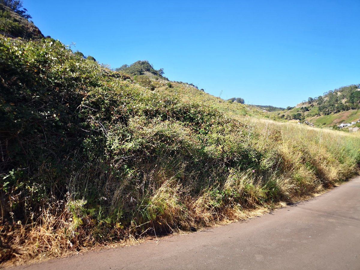 Vista exterior de Finca rústica en venta en Tegueste
