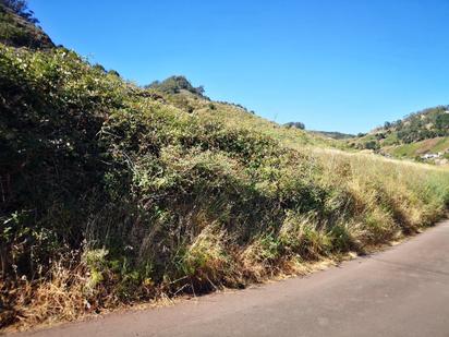 Vista exterior de Finca rústica en venda en Tegueste