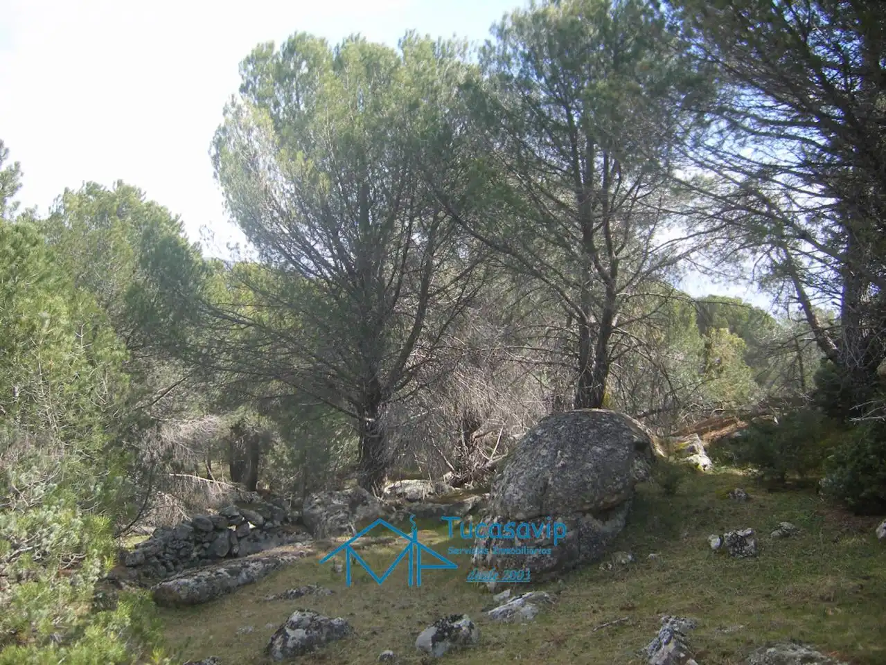 Terreni e lotti in vendita a Cebreros, imagen 19
