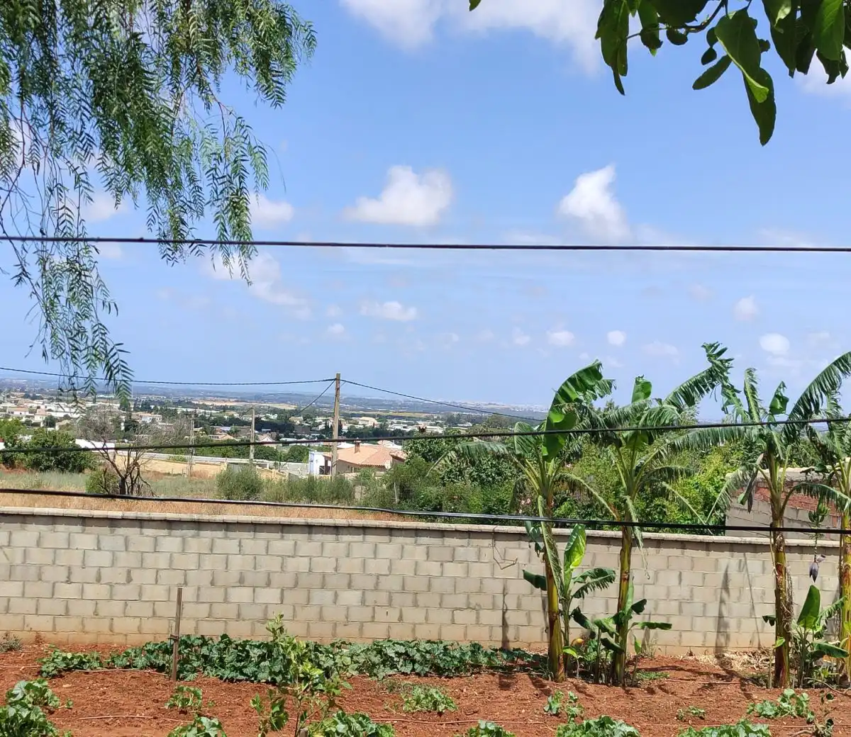 Detached house for sale in Barrio Nuevo, imagen 37