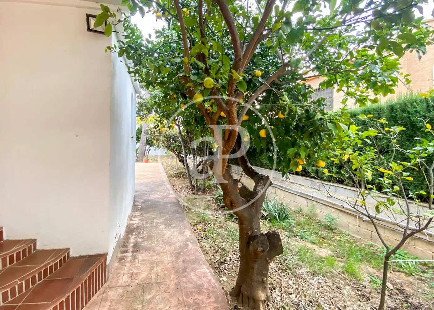 Casa amb terrassa en venda a Turís, imagen 19