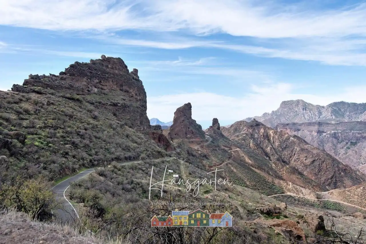 Vista exterior de Finca rústica en venda en Tejeda amb Aire condicionat i Jardí privat
