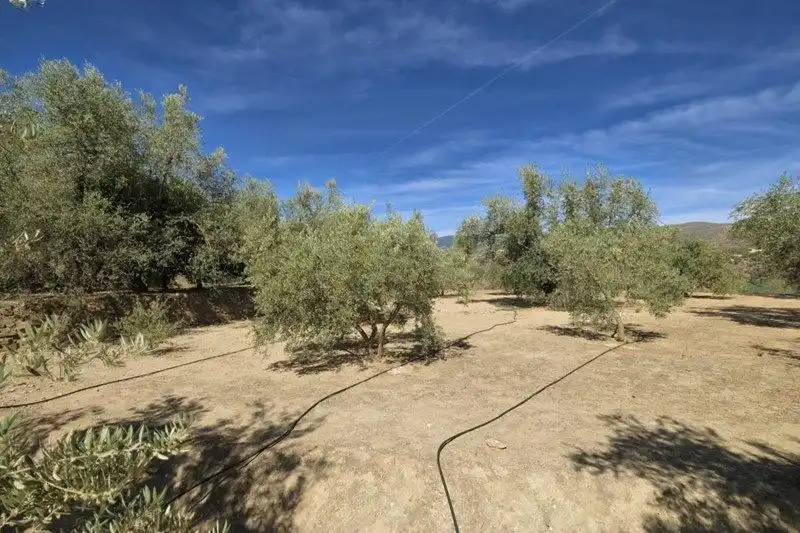 Terreno rustico in vendita a El Valle, imagen 9