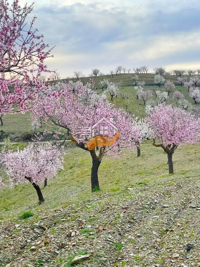 Maison rustique à vendre à Vélez-Rubio, imagen 34