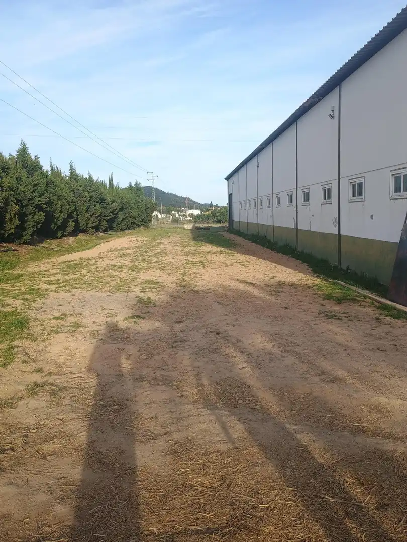 Casa o chalet en venta en Villanueva de los Castillejos con Jardín privado