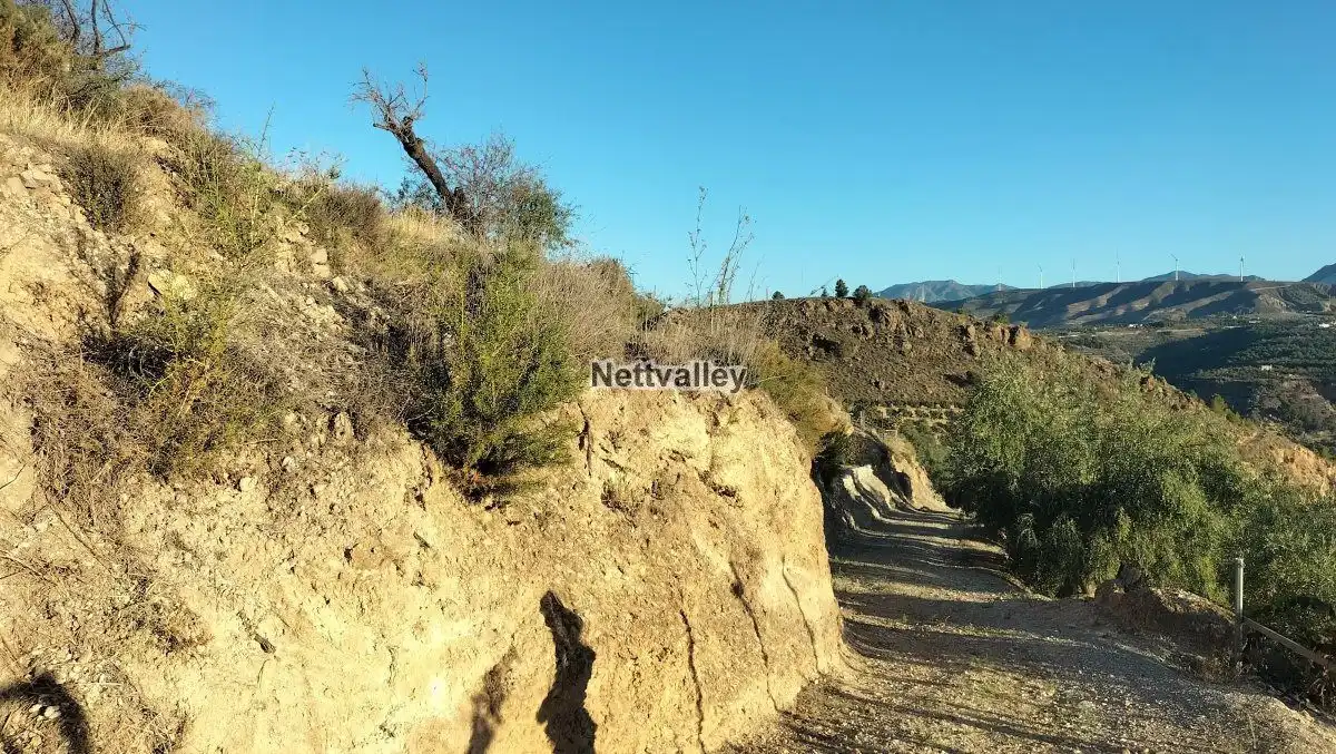 Terreni e lotti in vendita a FUENTE DEL OLIVO