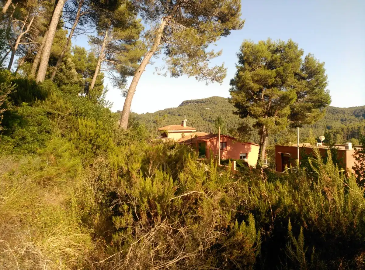 Terreni e lotti in vendita a Corbera de Llobregat, imagen 20